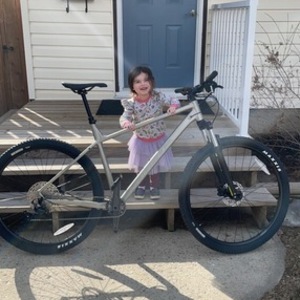 2021 Norco Bikes Storm 1 Silver, gray or bare metal