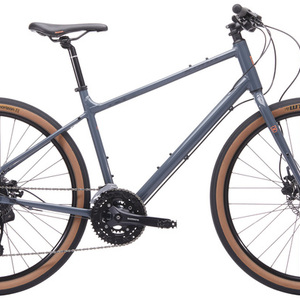 2020 Kona Dew Silver, gray or bare metal