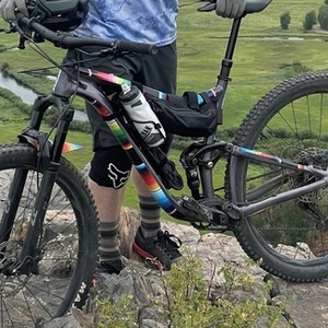 2020 Giant Trance 29 3 Black