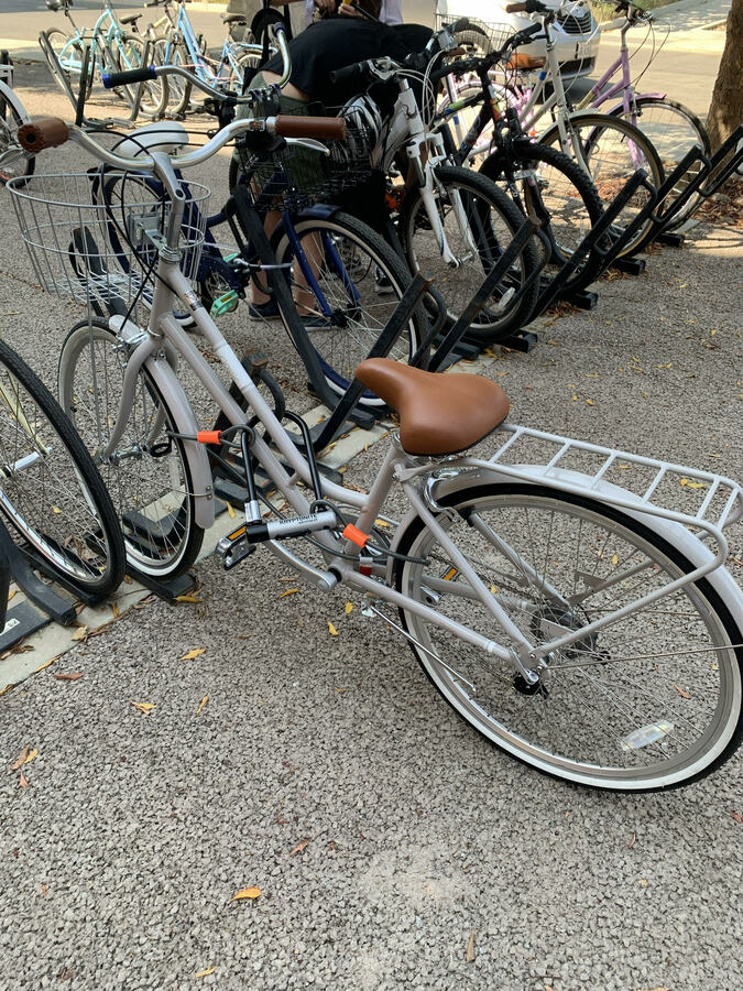 Xds XDS 26" Alloy Frame