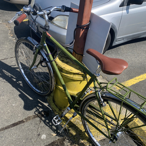 2018 Breezer Downtown Green