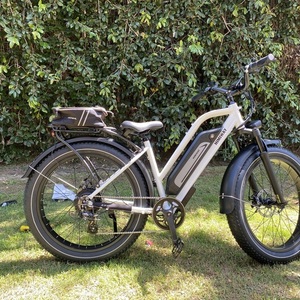 2022 Himiway CRUISER STEP-THRU Silver, gray or bare metal