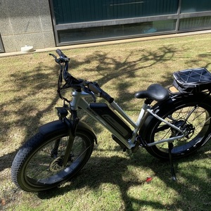 2022 Himiway CRUISER STEP-THRU Silver, gray or bare metal