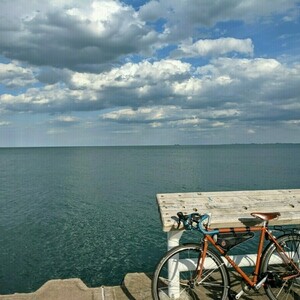 2000 Waterford X-11 / Cyclocross Frameset - Reynolds... Orange