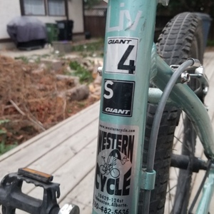 2013 Giant Revel 4 W Teal