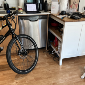 2022 Rad Power Bikes Radmission mid-step Black