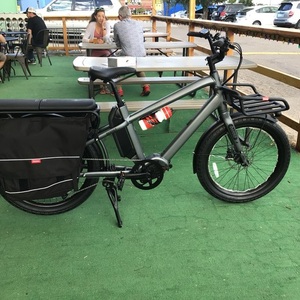 2022 Benno Boost 10D Silver, gray or bare metal