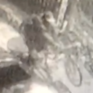 Surly Long Haul Trucker Green