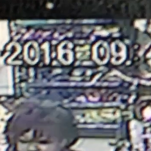 Surly Long Haul Trucker Green