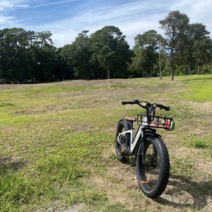 2022 Rad Power Bikes Rad Rover 6 White