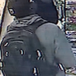 Surly Long Haul Trucker Green