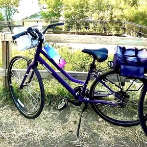 2018 Specialized Alibi C Sport Purple