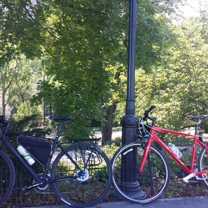 Trek CrossRip Black and Blue