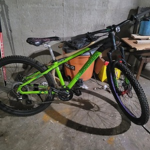 2022 Diamondback Expresso Green