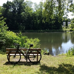 Trek CrossRip Black and Blue