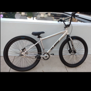 2021 SE Bikes Pk ripper Silver, gray or bare metal