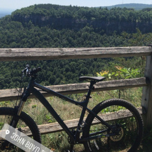 2019 Diamondback Medium Silver, gray or bare metal
