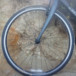 Giant Escape 1 Silver, gray or bare metal