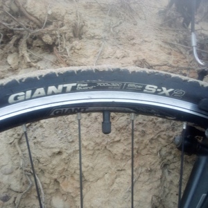 Giant Escape 1 Silver, gray or bare metal