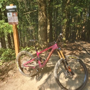 2021 Specialized Sworks Enduro Purple