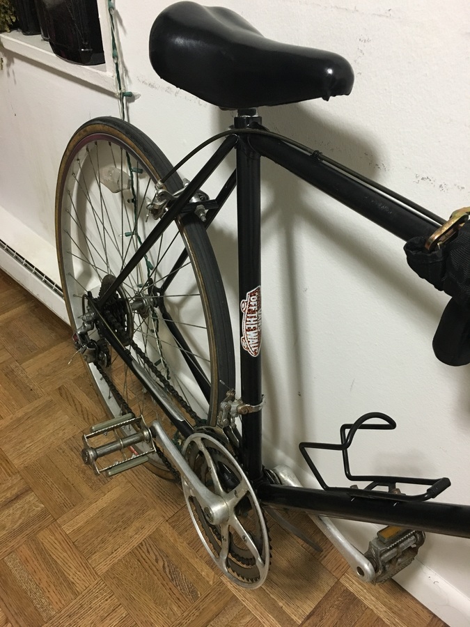 1983 schwinn world sport