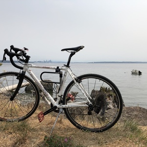 Motobecane Fantom Cross Pro White and Red
