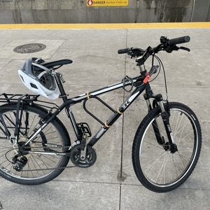 2013 Trek 820 Black and White