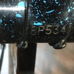 Fiori Roma Black and Blue