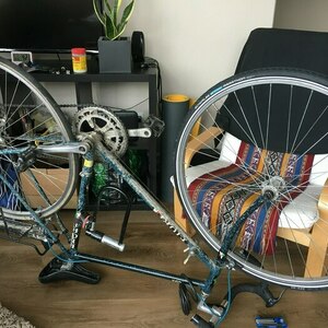 Fiori Roma Black and Blue