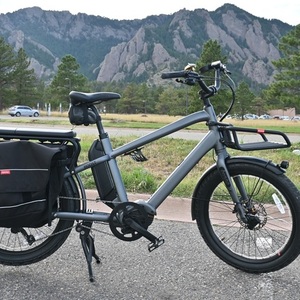 2022 Benno Boost 10D Silver, gray or bare metal