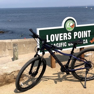 2021 Trek Marlin 5 Purple