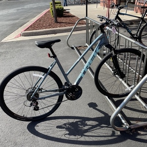 2021 Trek Dual Sport 1 WSD Battleship color Silver, gray or bare metal and Teal