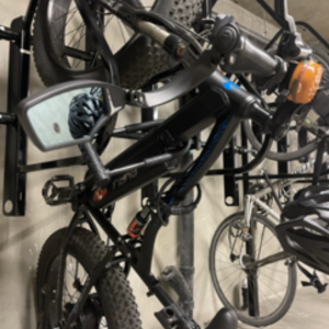 2022 Aurochs Rurui Black