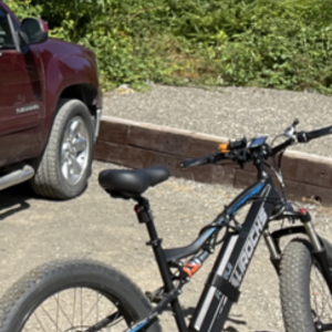 2022 Aurochs Rurui Black