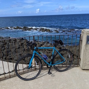 2019 Kona Kon168306909 Teal and Orange