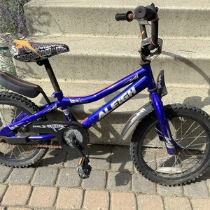 2022 Other BMX Blue