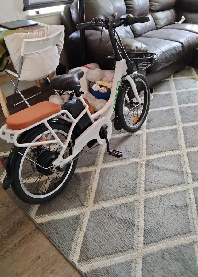 Cargo Bike photo