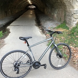 2020 Cannondale Silver, gray or bare metal