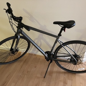 2020 Cannondale Silver, gray or bare metal