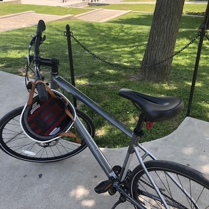 2020 Cannondale Silver, gray or bare metal