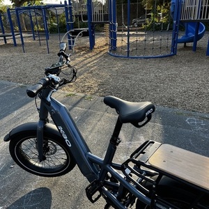 2022 KBO BIKE RANGER Silver, gray or bare metal