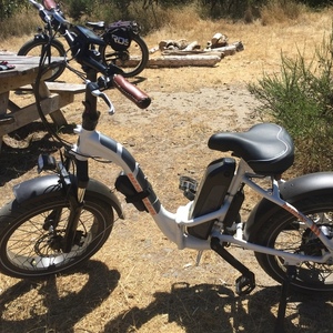 2019 Rad Power Bikes Mini Step Thru White