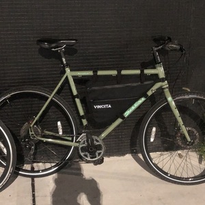 2019 Salsa Marrakesh Green