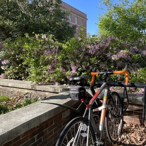 2019 Felt Silver, gray or bare metal and Orange