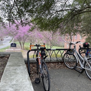 2019 Felt Silver, gray or bare metal and Orange