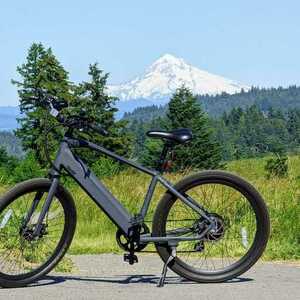 2020 Ride1Up Core-5 Silver, gray or bare metal