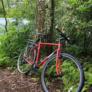 2017 All City Pony Express Red