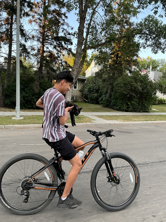 Bike photo