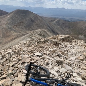 2020 Giant Trance Blue