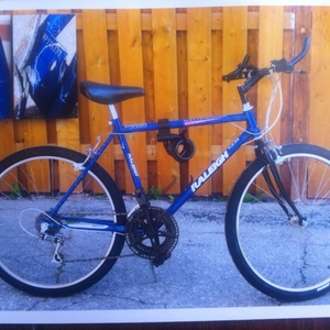 Raleigh Blue